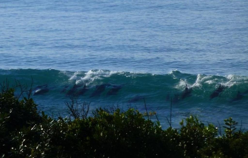 Shaloha Guesthouse On Supertubes Jeffreys Bay Exterior photo